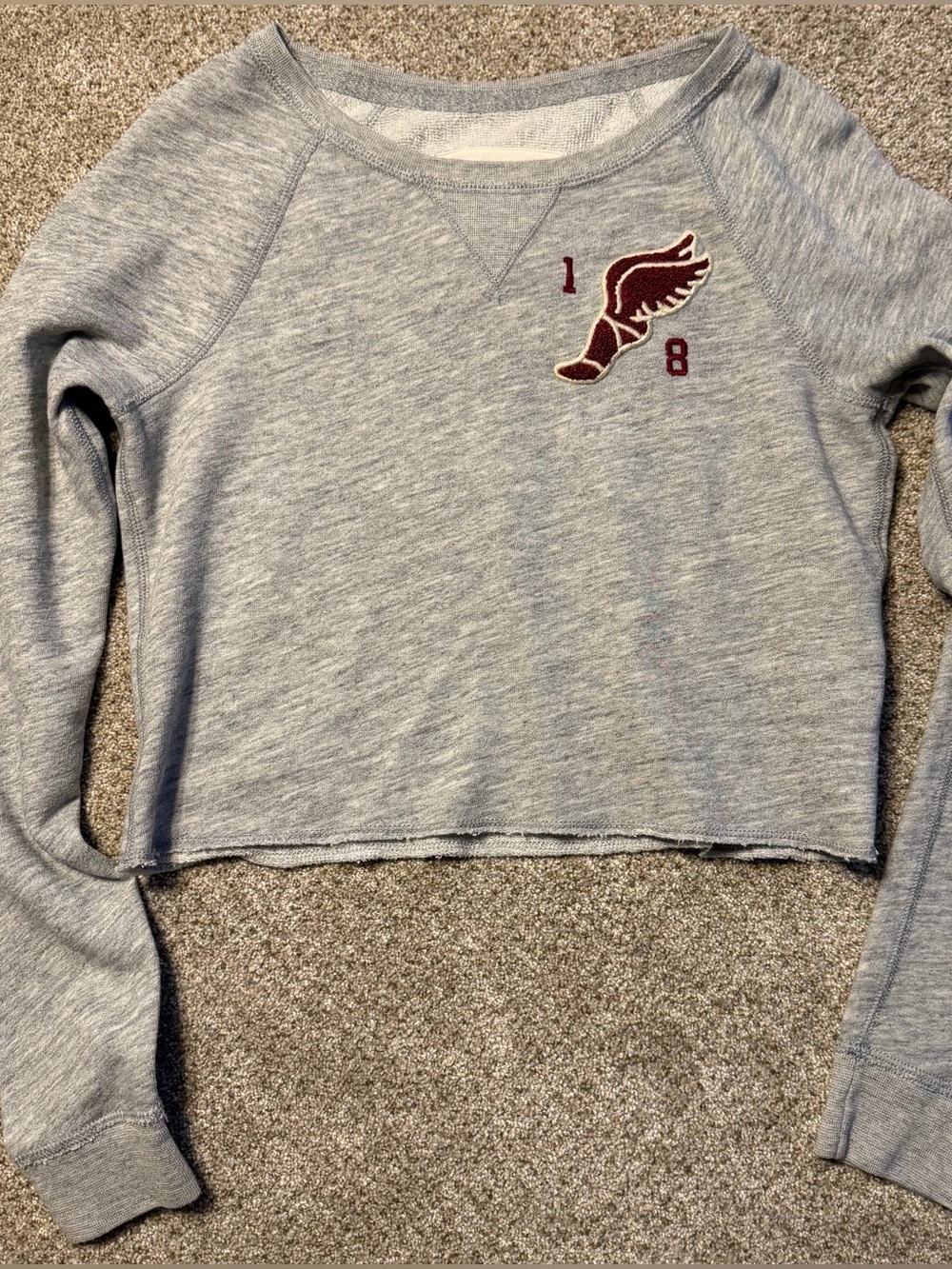 Vtg Abercrombie Fitch Gray Crop Sweatshirt Winged Foot Y2K Acubie Grunge Small
